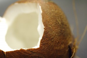 organic coconut 