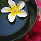 Evening Primrose Oil to The Rescue!