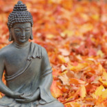 Ayurveda Inspired Beauty Care Tips for Each Dosha