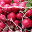 Sevani’s ECOCERT Organic Preservative Offers MORE Than The Others