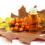 Sea Buckthorn Berries – The Fountain Of Youth