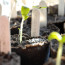 10 Green Living Tips to Help You Celebrate Earth Day Today and Every Day!