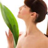 Wax Free Phyto Peptide Firming Face Creme With Fruit Stem Cells, Argireline, CoQ10 and So Much More!