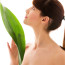 Wax Free Phyto Peptide Firming Face Creme With Fruit Stem Cells, Argireline, CoQ10 and So Much More!