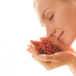 Sevani’s Signature Blends – Power Through Harmony