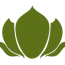 Yoga for Health and Beauty