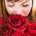 Beautiful Roses Help Beautify Skin
