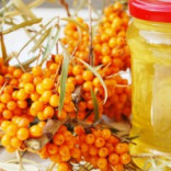 Skin Benefits of Sea Buckthorn Berry Extract