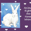 “Animal Rights Are Never Wrong”