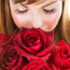 Bulgarian Rose Damascena – A Wealth Of Therapeutic Benefits