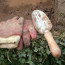 Planting An Organic Garden Is Good for The Earth And Your Soul!
