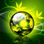 It’s Earth Day Every Day Here At Sevani – It’s Easy Being Green!