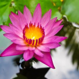 Natural Skin Care For Age Spots