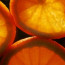 Natural Skin Care Isn’t Just For The Ladies ~ Sevani Is Ideal For Men Too!