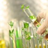 Sevani’s “Chemistician” Founder Says Find Your Passion!